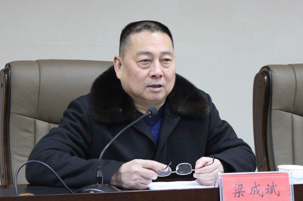 市国土资源局局长梁成斌讲话.JPG