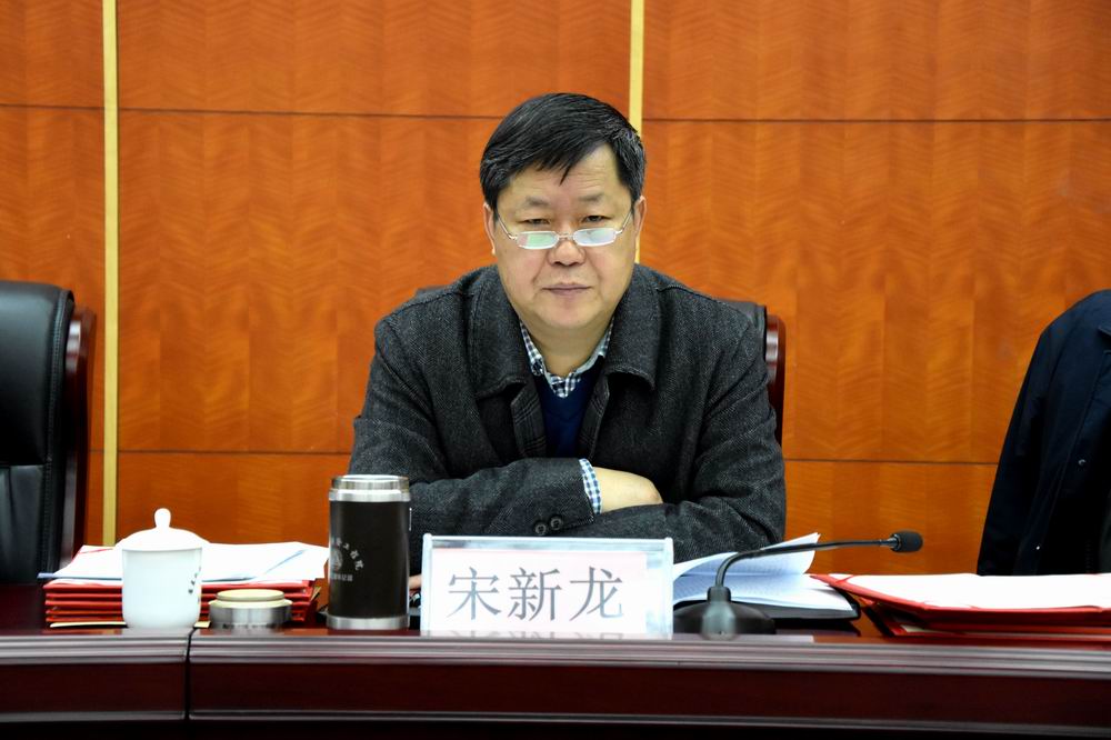 宋新龙2.jpg