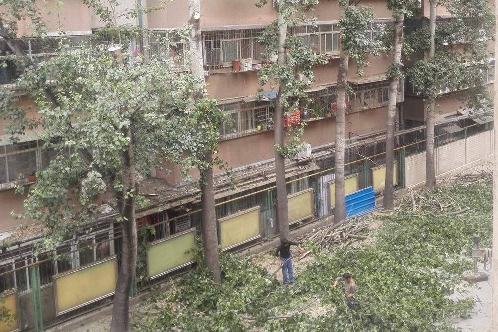 摄影人施淮舰图2.jpg